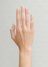Hand Image